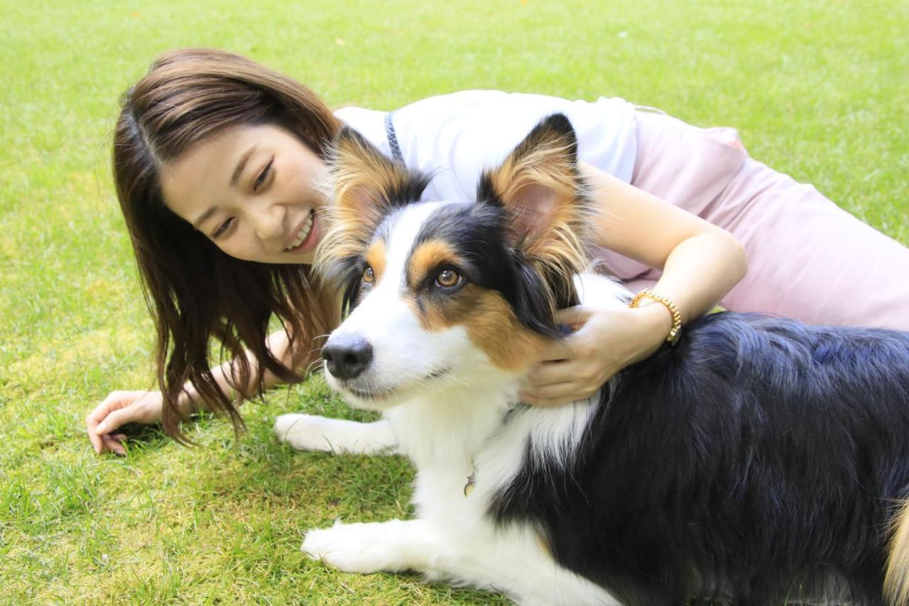Yutorelo Tateshina Hotel With Dogs تشينو المظهر الخارجي الصورة