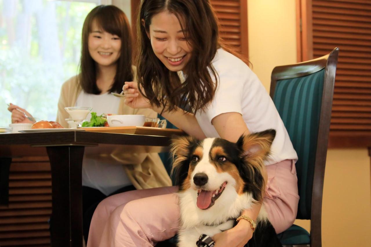 Yutorelo Tateshina Hotel With Dogs تشينو المظهر الخارجي الصورة
